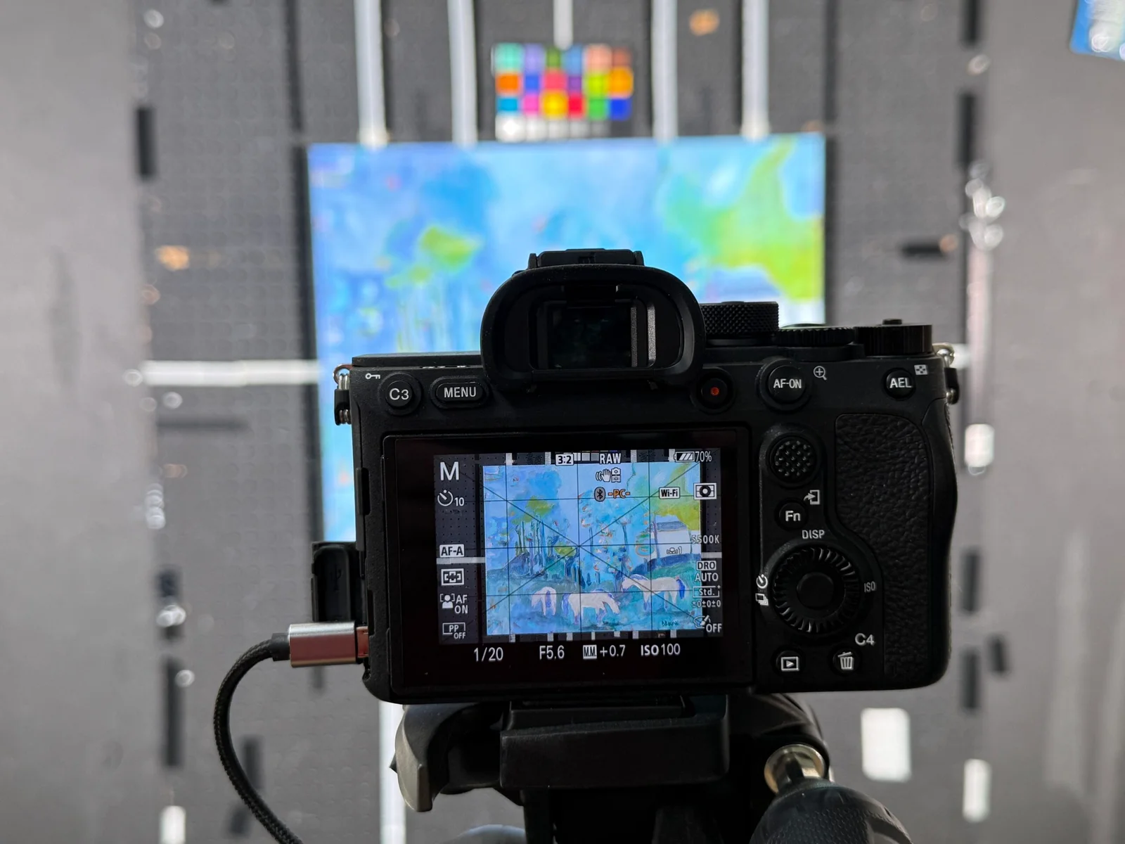 Artfinity Sony A7R IV camera giclee capture setup. 